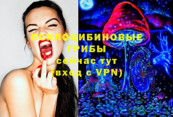 ПСИЛОЦИБИНОВЫЕ ГРИБЫ Михайловка