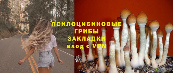 стаф Алзамай